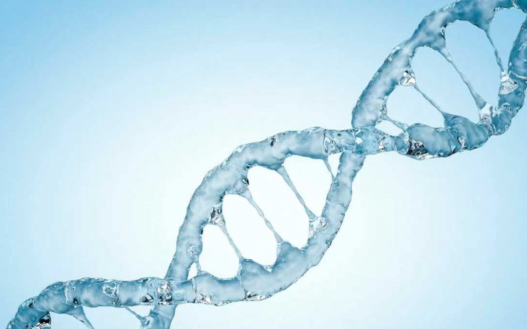 CRISPR-Cas y el genoma